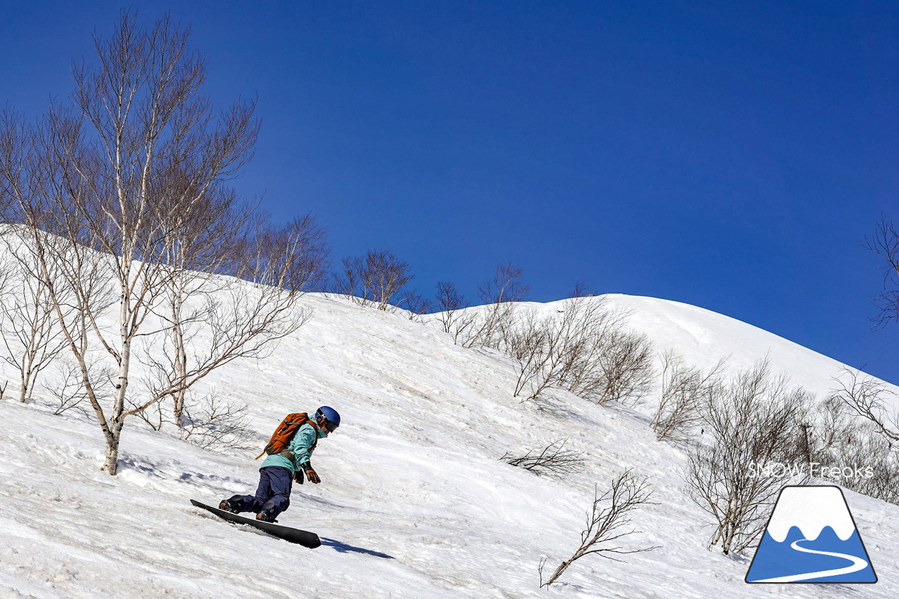 ニセコグラン・ヒラフ DYNASTAR SKI TEST RIDE DAYS Photo Session!!最高の天気に恵まれたニセコに、最高の仲間たちが集まりました☆